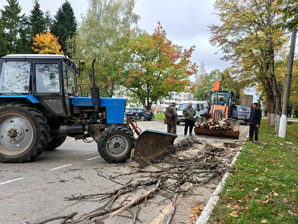 Коммунальные службы спилили опасные деревья вдоль главной дороги в Восходе