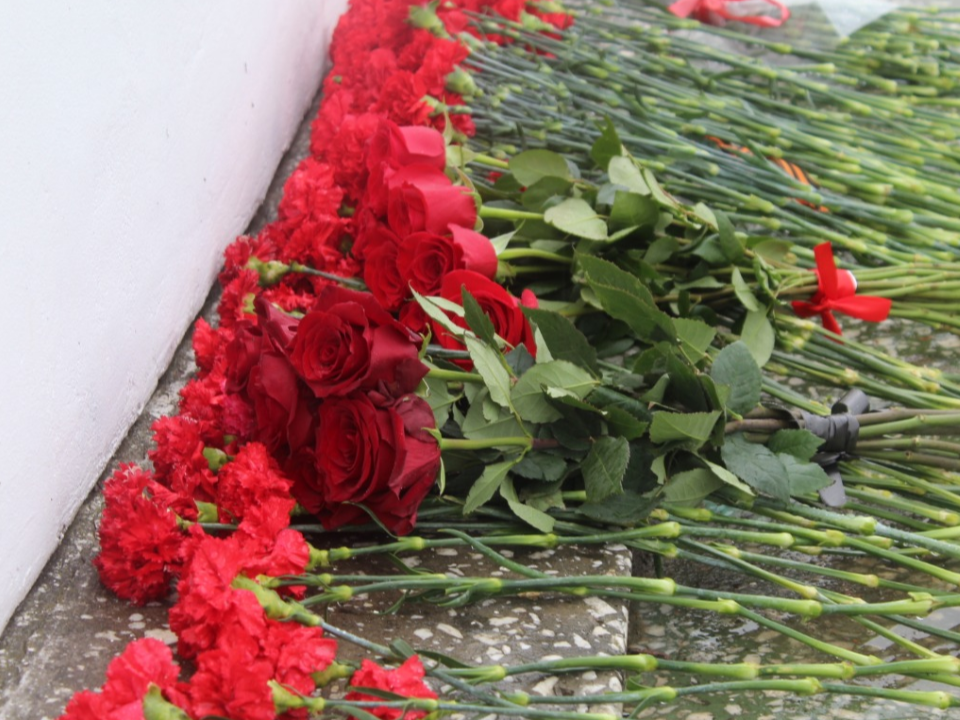 Патриотические клубы Чехова пройдут «Тропой памяти» по местам обороны Москвы