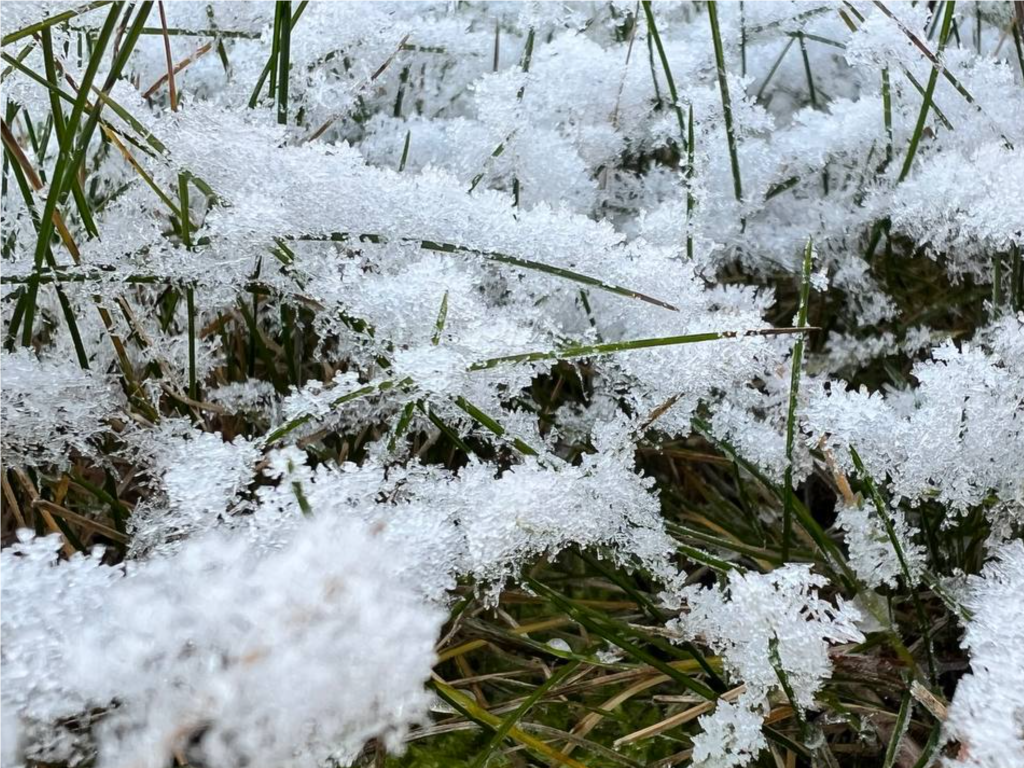 МЧС объявило штормовое предупреждение: в Подмосковье прогнозируется мокрый снег