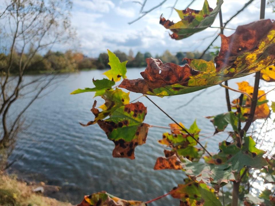 Дождливая и ветреная погода ожидается в Лосино-Петровском