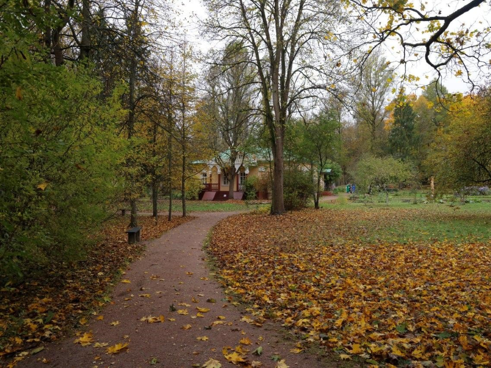 Сырые выходные пообещал жителям Чехова местный синоптик