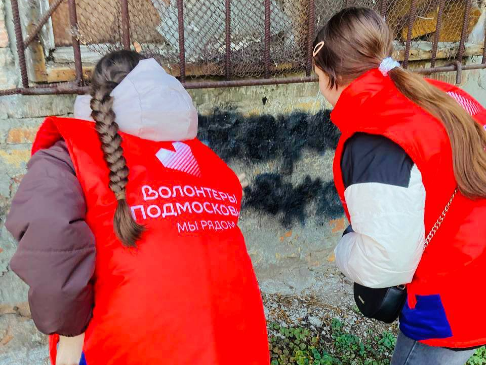 Волонтеры Электрогорска очистили фасады зданий от рекламы наркотиков