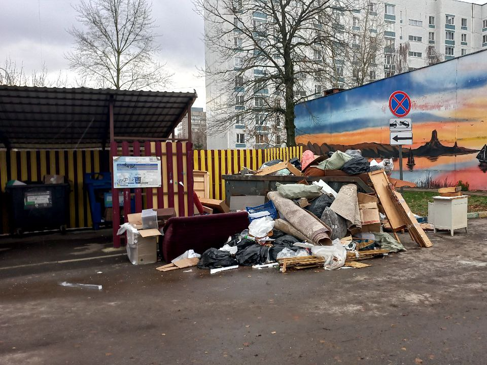 Сколько несанкционированных свалок за неделю вывезли из Электростали