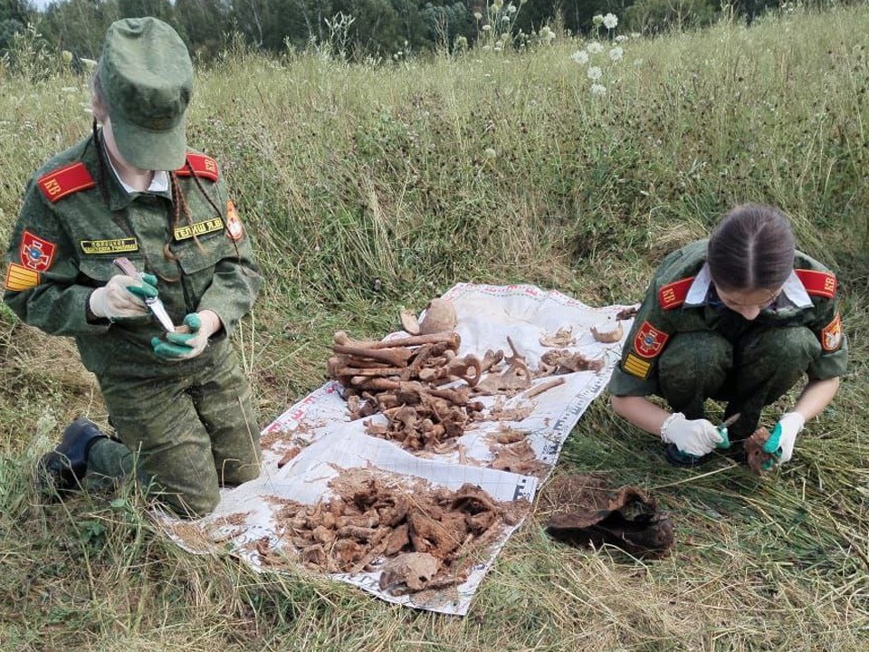 Возвращение из небытия: как поисковики Подмосковья поднимают бойцов и находят родственников спустя 80 лет