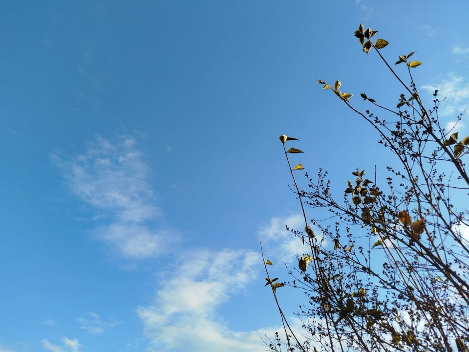 Синоптики назвали день, когда температура в Подмосковье опустится до 0 градусов