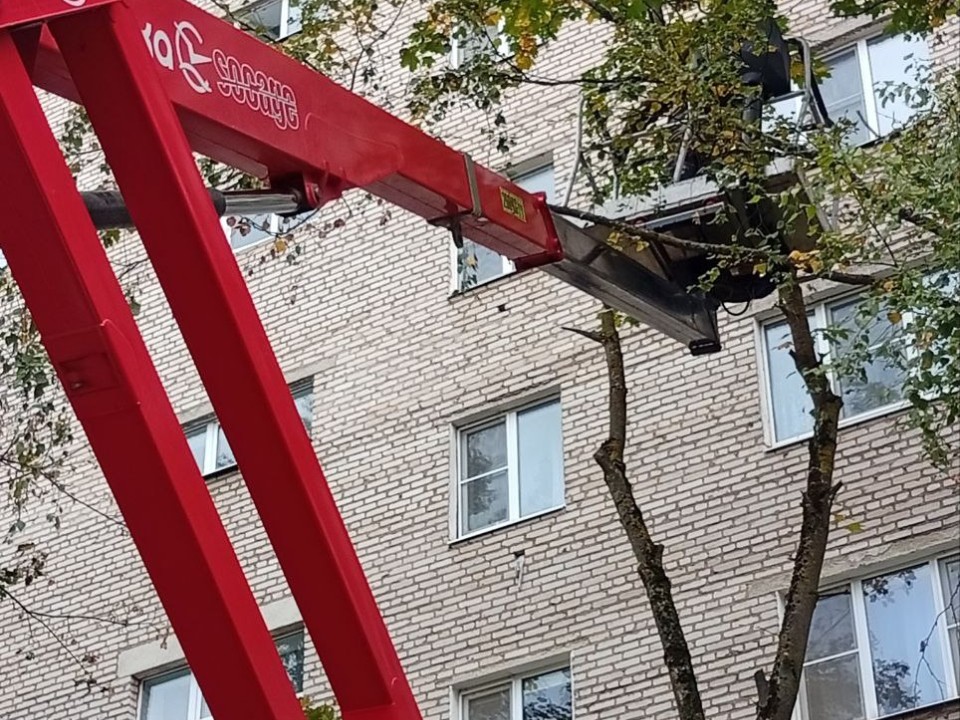 Домоклов меч устранен: в Сергиевом Посаде произвели удаление и опиловку аварийных деревьев