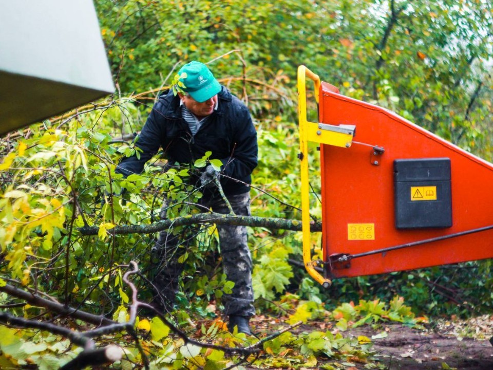 Сотрудники парка переработали спиленные деревья в полезные материалы