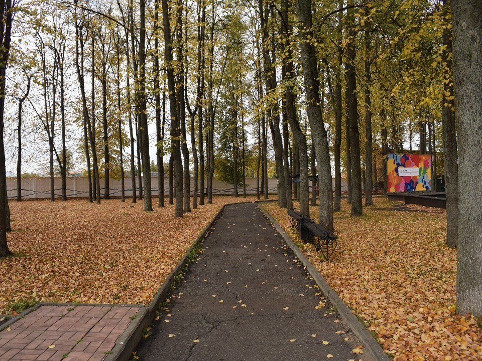 Игровые программы в городском парке перенесли из-за опиловки деревьев