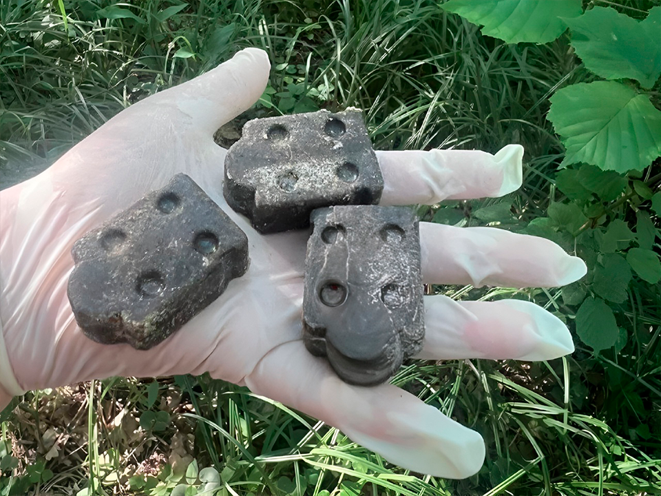 В лесах Зарайска раскладывают вакцину от бешенства