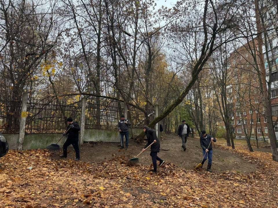 С тротуаров, дорог и детских площадок в Люберцах убрали свыше 250 кубометров листвы