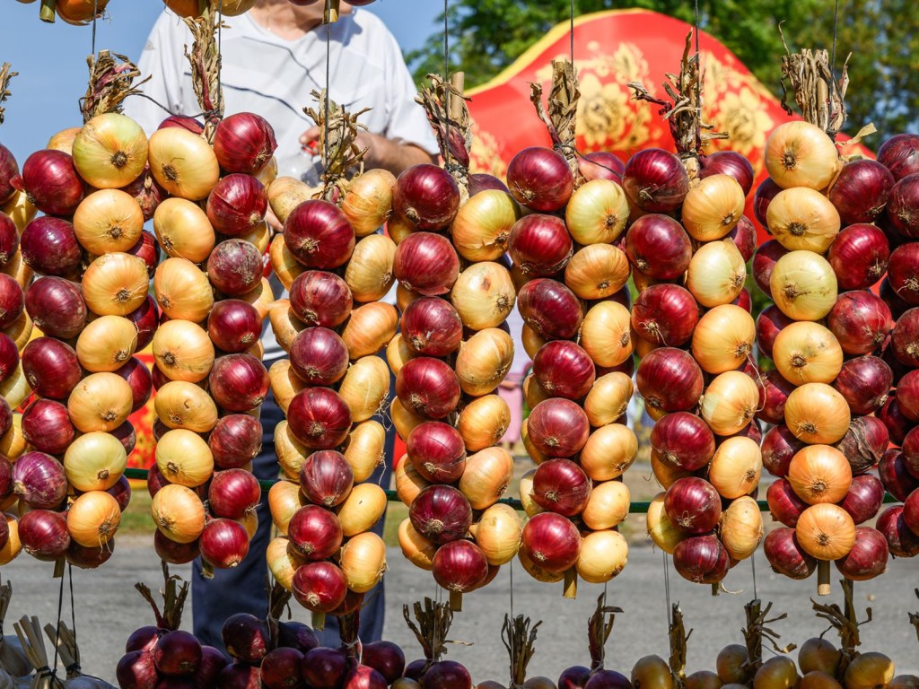 Какой народный праздник отмечают 31 октября 2025: что можно и нельзя делать в Луков день