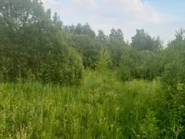 В трех округах началась распродажа недвижимости