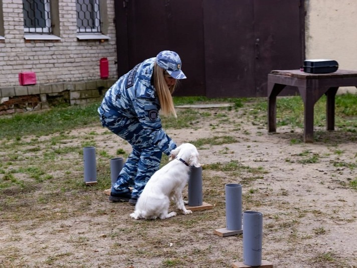 Воскресенские студенты побывали в роли кинологов и криминалистов