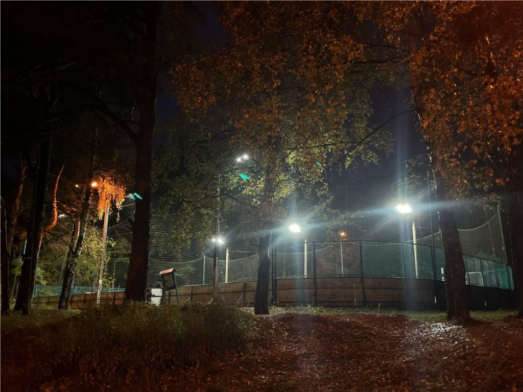 Проблему ночного шума на спортплощадке в Ильинском-Усове решат до конца октября