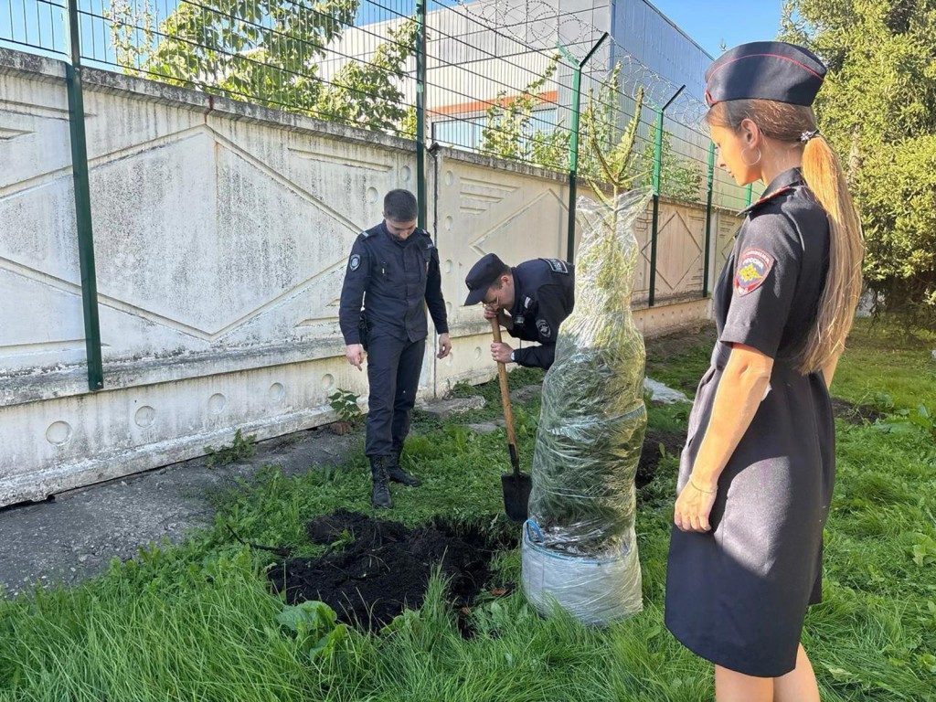 В Ступине полицейские присоединились к акции «Лес Победы»