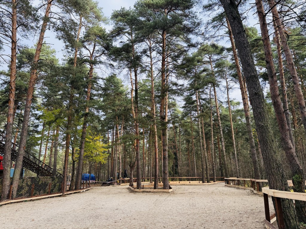 В Раменском скоро можно будет покататься на коньках среди сосен: лесной каток почти готов к заливке