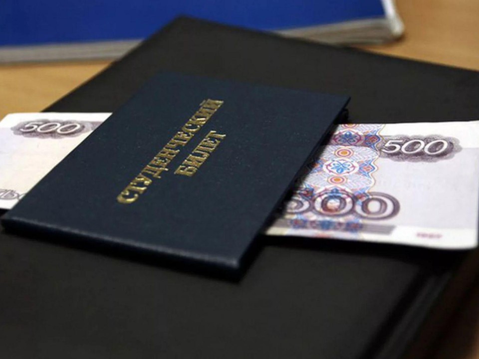 Автоматически на счет: сколько платят сиротам‑студентам Домодедова. Как им стать получателями стипендии губернатора?