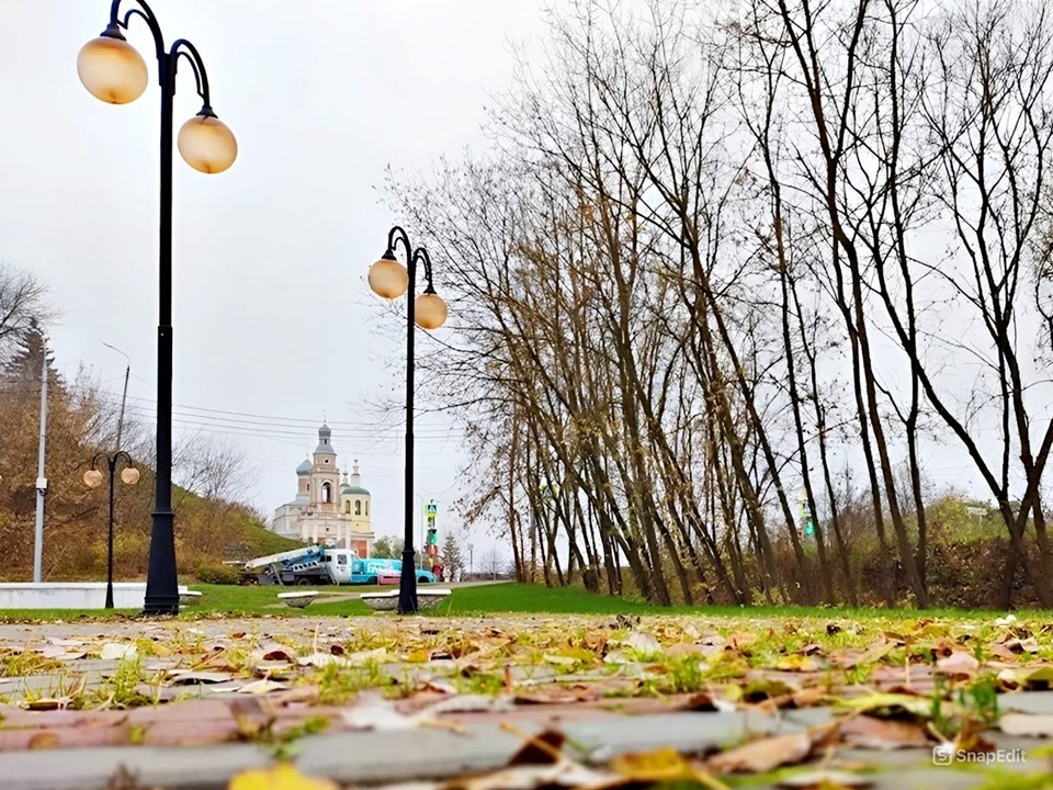 В Лосино-Петровском ожидается пасмурная и дождливая погода