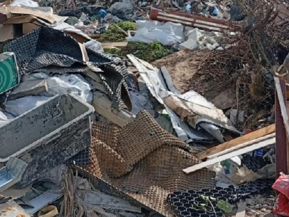 Предприниматель возместит ущерб за незаконную свалку в Чеховском округе