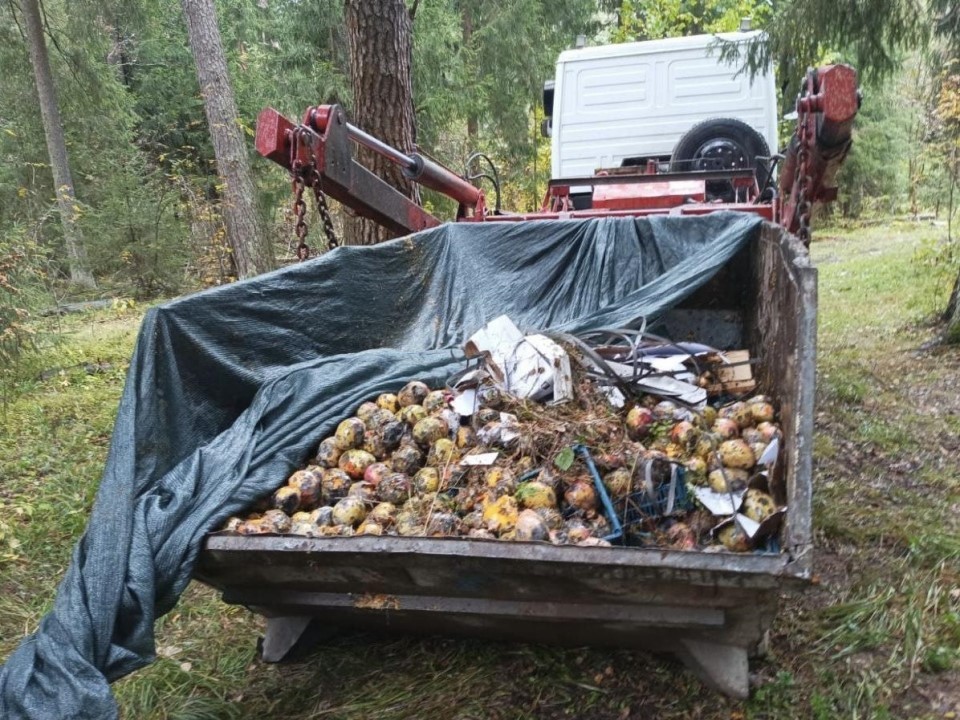 Магазин в Щелкове оштрафуют за свалку овощей в лесу