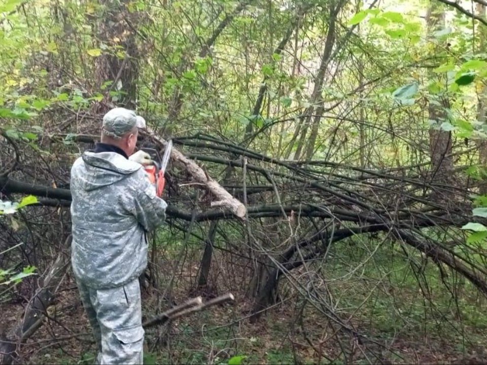 В Сергиевом Посаде завершают санитарную уборку лесов