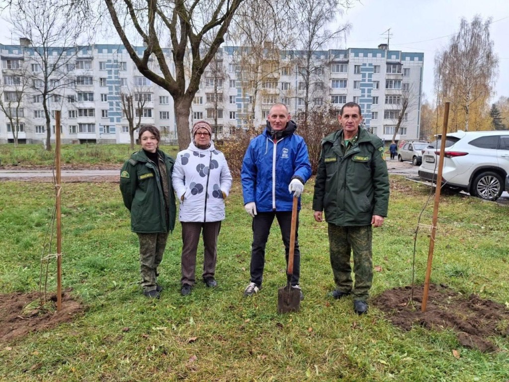 От серой унылости до зеленого оазиса: история преображения двора в Запрудне