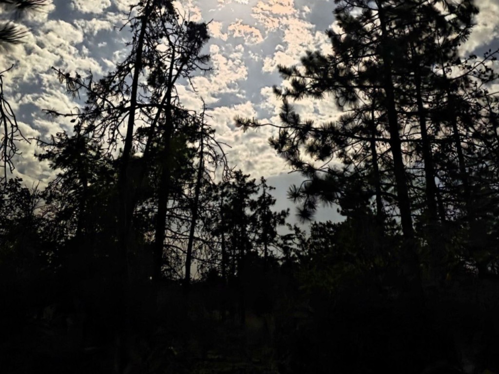 Почему 15 октября на Куприяна боялись во двор выходить и ребенка ругать