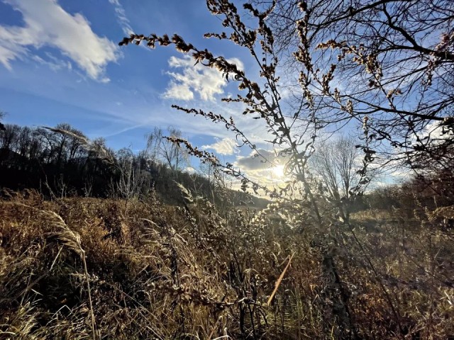 В Лыткарино ожидаются ночные заморозки до 0 градусов