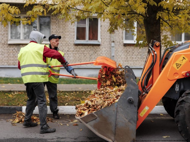 Коммунальные службы убрали 60% осенней листвы на Институтской и в Левобережье
