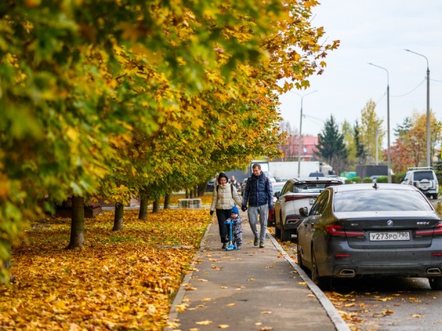 Рекордное для ноября тепло до +11°C придет в Подмосковье на выходных