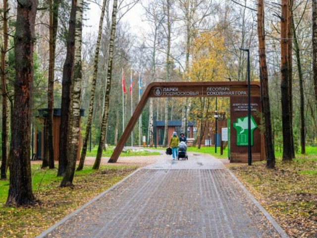 Забронировать свой уголок в парках Подмосковья теперь можно онлайн