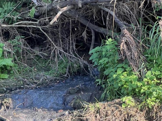 Незаконный сток в Рузе остановят экологи