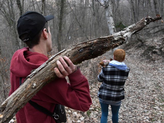 Жителям Видного напомнили о правилах законного сбора валежника
