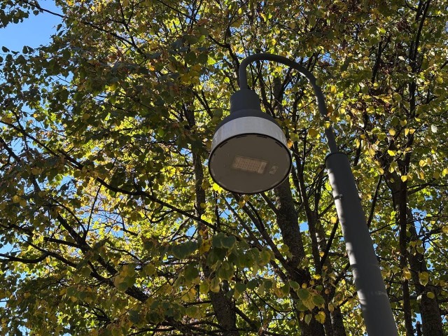 Коломна расцветает: где искать новые скамейки, фонари и клены — гид по свежим локациям