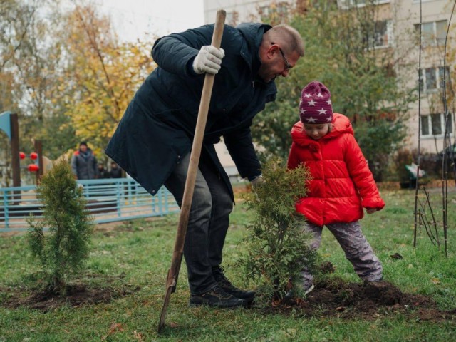 Жители Лосино-Петровского высадили 30 туй ко Дню отца