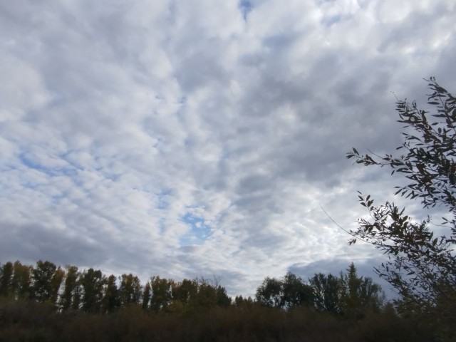 Жителей Подмосковья предупредили о надвигающемся урагане