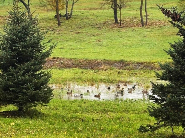 Три дня бесплатных развлечений ждут детей и взрослых в Парке «Ривьера»