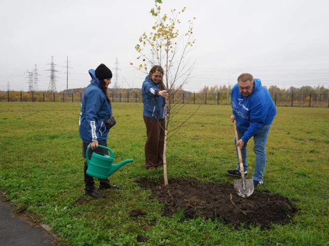 Лицеисты Шатуры высадили березовую аллею ко Дню отца