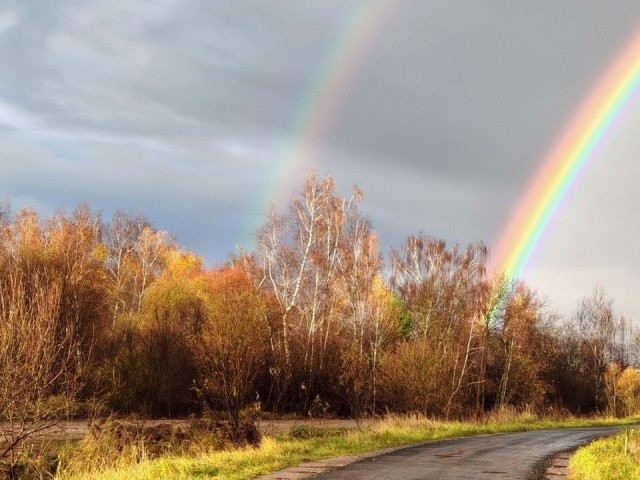 Самый медийный грибник Бронниц вернулся из леса с неожиданной добычей