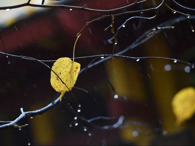 Чем порадует погода лотошинцев до конца октября