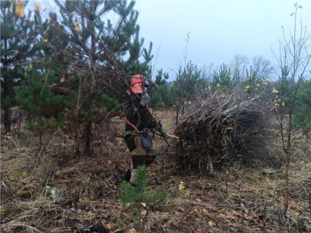 Лес рубят — экосистема крепнет: как спасают лучшие деревья в Наро-Фоминске