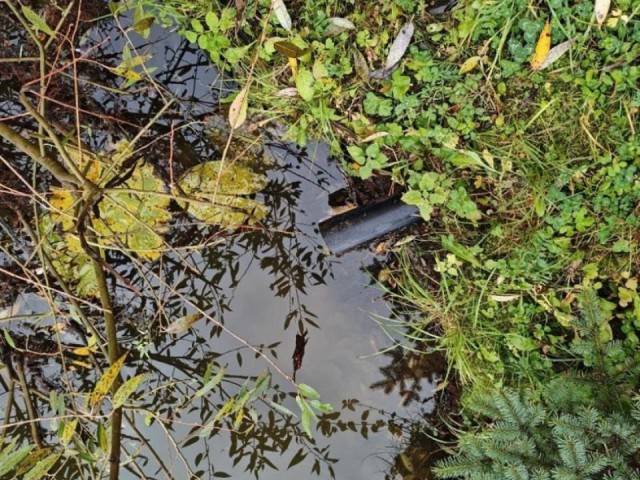 «Копейка» рубль бережет, а кто‑то — нет: в Подмосковье поймали «водопользователей» без разрешения — подробности скандала у пруда с денежным названием