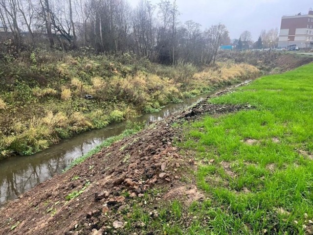 Нахабино на карандаше: почему администрация получила предостережение от экологов