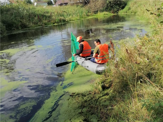 Пруды Богородского округа расчистили от мусора: забота об экологии и комфорте жителей