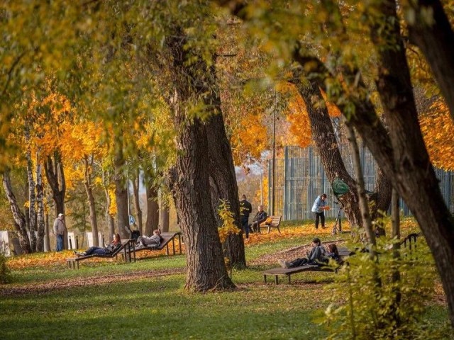 Ретро-танцы, мастер-классы и старты для всей семьи пройдут в парке Раменского