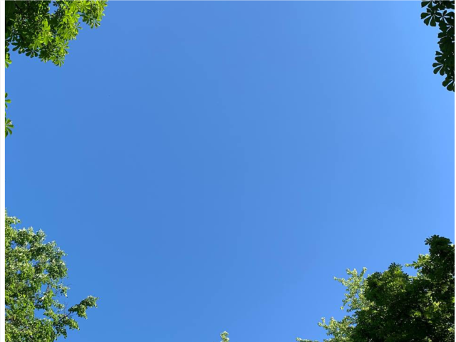 Московскую область неминуемо ждет магнитная буря 8 октября: рекомендации для метеозависимых