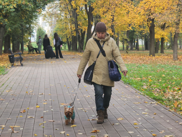 Домашним питомцам сделают прививку от бешенства в центральном парке Серпухова