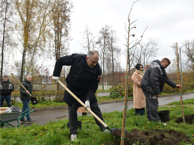 «Аллеи отцов» заложили в Подмосковье
