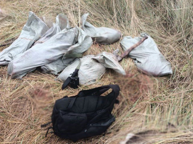 Убивших лося браконьеров задержали под Рузой