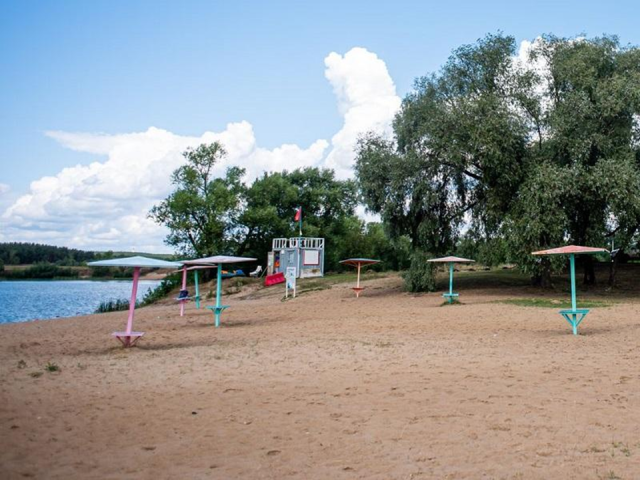 В Наро-Фоминске предприятие ответит в суде за платный пляж на землях для рыбоводства